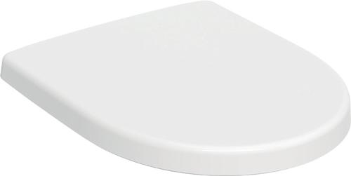 Geberit WC-Sitz Renova Plan mit Deckel Scharniere: Edelstahl weiß