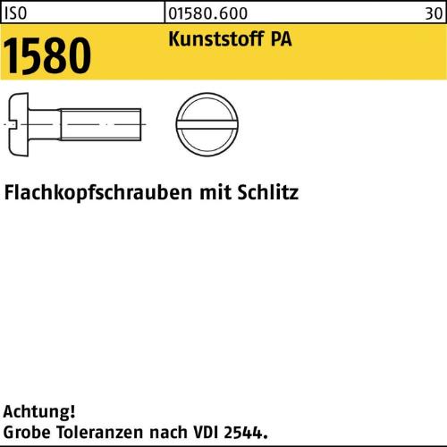 Reyher Flachkopfschraube ISO 1580 m.Schlitz M 3 x 12 Polyamid