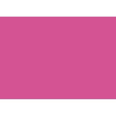 Heyda Tonzeichenpapier 50 x 70 cm (B x H) 130g/m² pink 25 St./Pack.