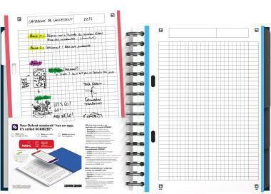 Oxford Registerbuch Office European Book DIN A5+ kariert 100 Bl.