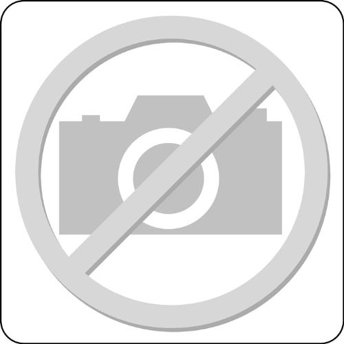 HÖRMANN ZK Mehrzwecktür Breite 875 mm Höhe 2000 mm DIN links RAL9010 Stahlblech