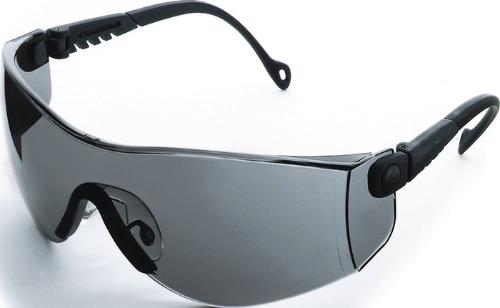Honeywell Schutzbrille Op-Tema EN166 Bügel schwarz, Scheibe smoke