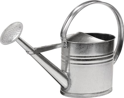 Quality Brand Gießkanne 10 l silber Metall verzinkt