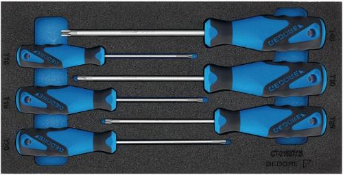 GEDORE Werkzeugmodul 1500 CT1-2163 TX 6-teilig 1/3-Modul Schraubendreher TORX