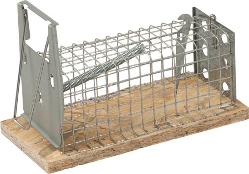 FREUND VICTORIA Drahtkäfig-Mausefalle Lebendfalle 95 x 50 mm