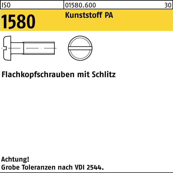 Reyher Flachkopfschraube ISO 1580 m.Schlitz M 3 x 12 Polyamid