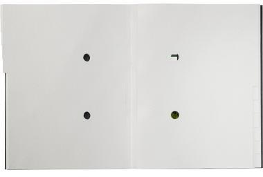 Leitz Ordnungsmappe Recycle DIN A4 275g/m² Karton 100 % recycelt Farbe: schwarz Farbe des Fächerblocks: grau 12 Fächer