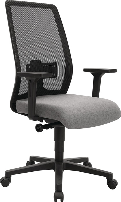 TOPSTAR Bürodrehstuhl mit Synchronmechanik hellgrau/schwarz 430 - 540 mm mit Armlehnen Tragfähigkeit 110 kg
