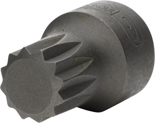 KS TOOLS 1/4" Bit-Stecknuss XZN, M10, extra kurz