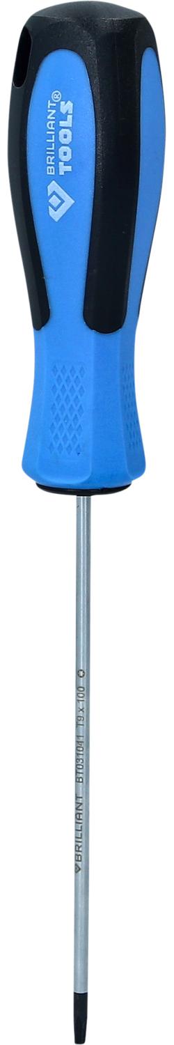 Brilliant Tools Schraubendreher TORX, T9 x 100 mm