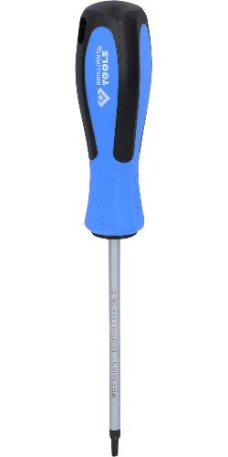 Brilliant Tools Schraubendreher TORX, T15 x 100 mm