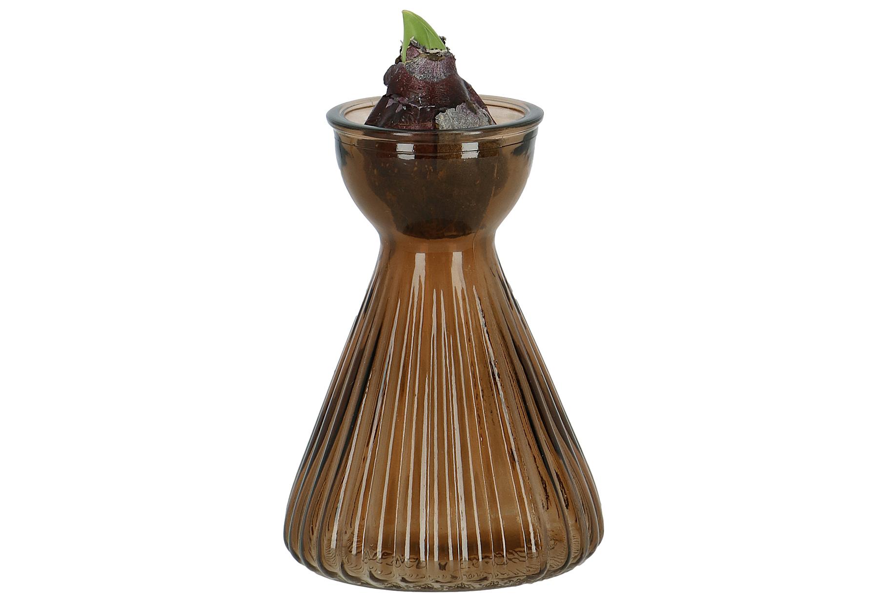 Esschert Design Hyazinthenglas 2fach sortiert