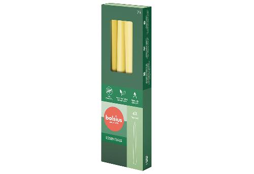 bolsius Spitzkerzen 4er Karton