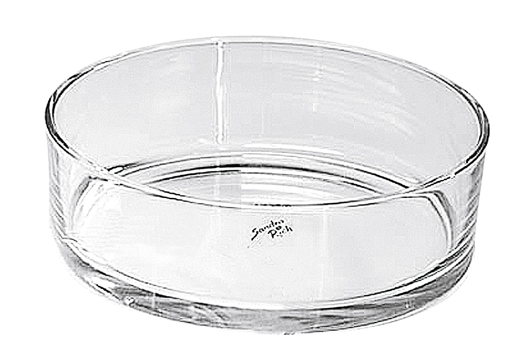 Sandra Rich Schale Glas 8cm Ø25cm klar