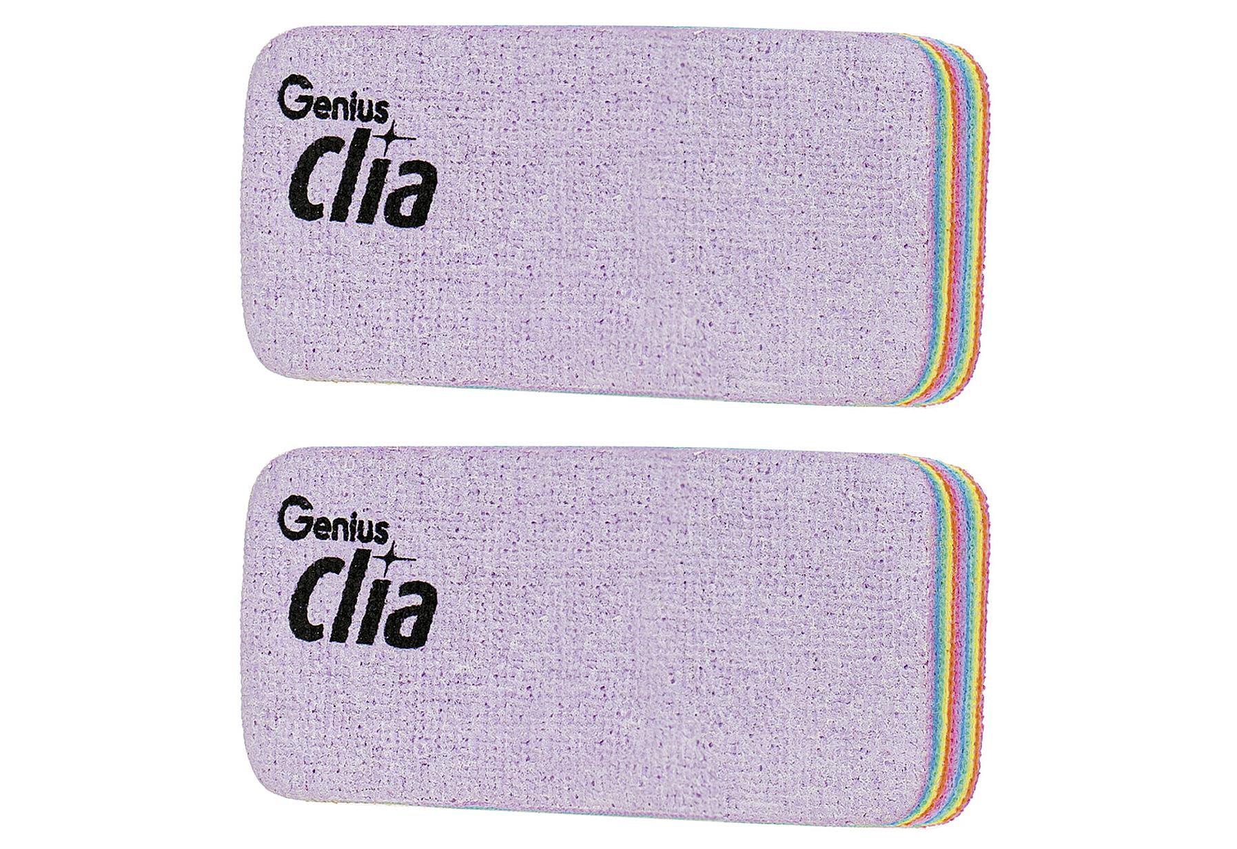 Genius Regenbogen-Schwämme groß Set 2-teilig