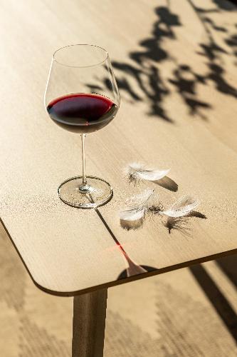 ZWIESEL GLAS Burgunderglas "Vuelo" 2er Pack