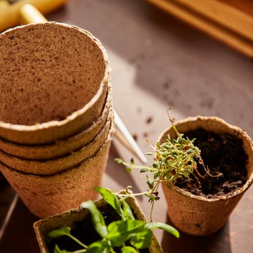 SIENA GARDEN 24 Anzuchttöpfe Ø 6 cm rund Ø 6 cm rund