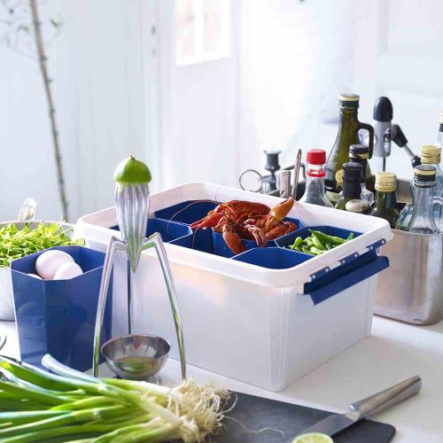 Orthex Einsatz für Profi-Box 1,6 l orange SmartStore Pro 15