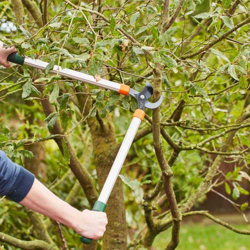 SIENA GARDEN Bypass Astschere CL2660 aus Aluminium