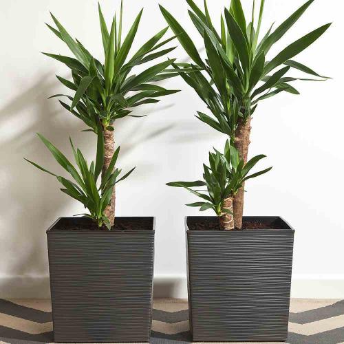 SIENA GARDEN Pflanzgefäß NIZZA GROOVE, anthrazit Rillenoptik, 25 x 25 x 26 cm Kunststoffgefäß mit Einsatz