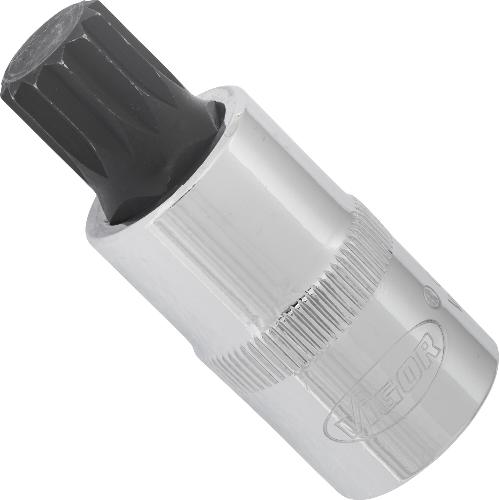 VIGOR Schraubendrehereinsatz ∙ V2065 ∙ 1/2 Zoll (12,5 mm) Vierkant hohl ∙ Innen Vielzahn Profil XZN ∙ SW M14